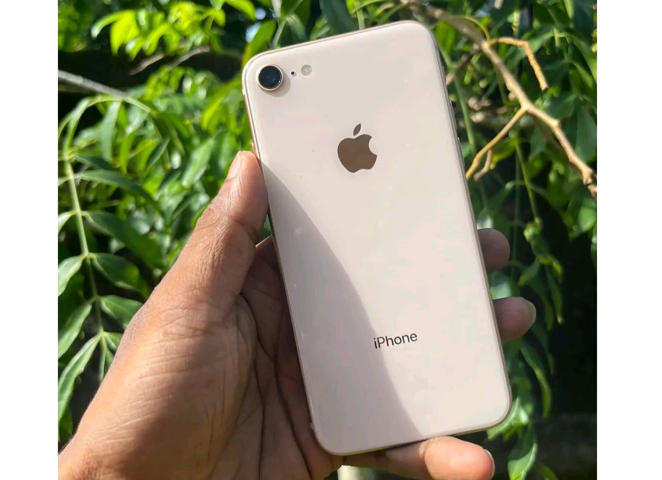 Apple iPhone 8 (Used)