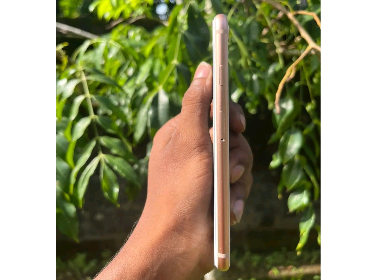 Apple iPhone 8 (Used)