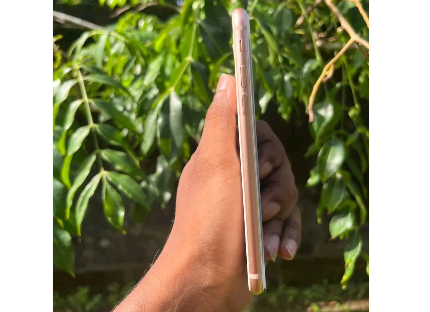 Apple iPhone 8 (Used)