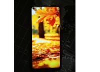 LG Q61