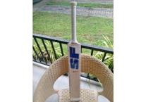 SF cricket bat