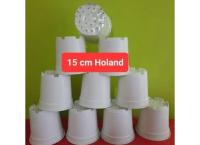 Flowers pots