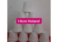 Flowers pots