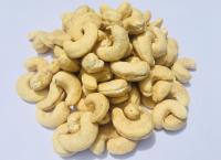 Cashew