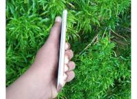 Apple 6s