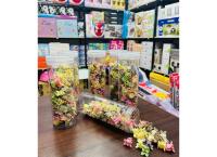 Girls Random Color Flower Shaped Plastic Hair Claw For Daily Life