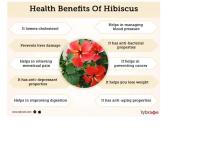 Dried Hibiscus Flower Powder 100% Natural Organic