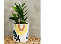 Handcrafted clay pots and indoor plants