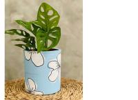 Handcrafted clay pots and indoor plants