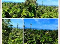 Prime Beach View Land Galle