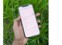 iPhone 12 Pro Max 256 GB