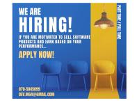 Sales executive
