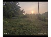 පර්චස් 15 ක අගනා ඉඩමක් විකිණීමට (ඉඩමම ලක්ෂ 27) 0779250016 මිල්ලනියවත්ත මිල්ලනිය