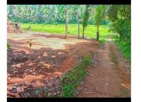 Alawwa land for sale 📍