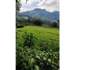 Very beautiful nature land for sale srilanka kandy