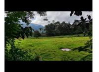 Very beautiful nature land for sale srilanka kandy