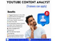 Youtube content analyst 🔍