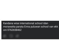 Looking for school van 🚐