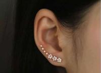 Earings