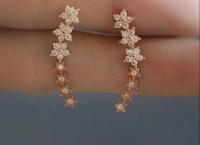 Earings