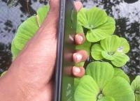 Samsung J7 Pro