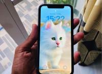 iPhone 11 64 GB