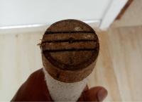 Vampire Bas Lether Cricket Bat/Kashmir Willow