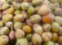 සාදාරන මිලට මාළු පොල් සපයන එකම සැපයුම්කරුවෝ