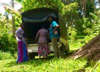 රැන්ගුන් ඉගුරු පැල විකිණීමට