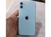 Apple 11