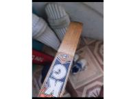 Cricket bat