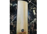 Cricket bat