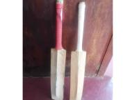 Cricket bat