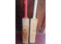 Cricket bat