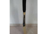 HS leader BAT