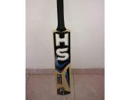 HS leader BAT