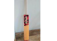 Cricket bat